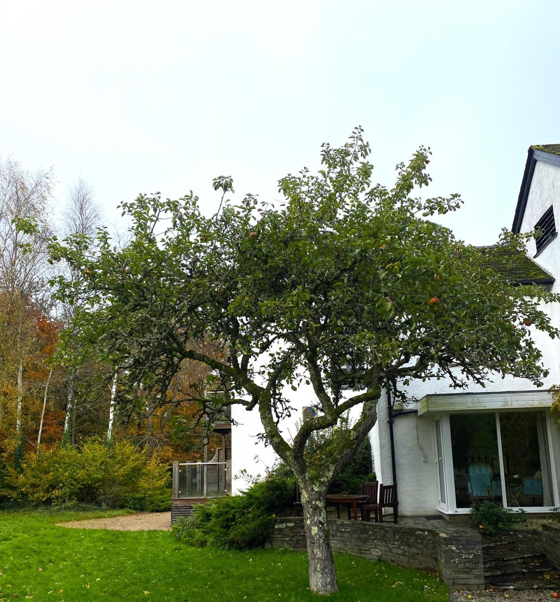 Mill End Hotel Chagford Ngoại thất bức ảnh